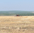 Открылась регистрация на Агродиктант - Газета Советское Причулымье